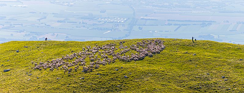 Pastures in Piancavallo, Collalto, Aviano.
