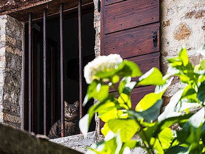 Walking in the Friulian Dolomites, in the villages of Frisanco and Poffabro, considered among the most beautiful villages in Italy