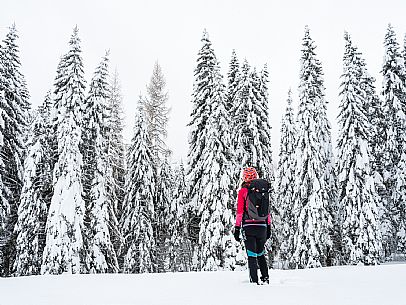 Walk with snowshoes, to the Winkel hut, under heavy snowfall.