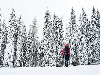 Walk with snowshoes, to the Winkel hut, under heavy snowfall.