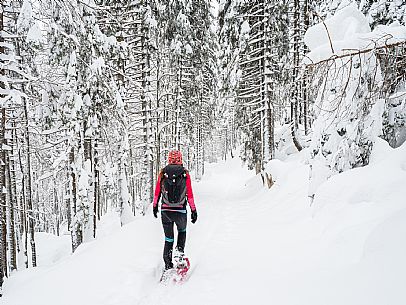 Walk with snowshoes, to the Winkel hut, under heavy snowfall.