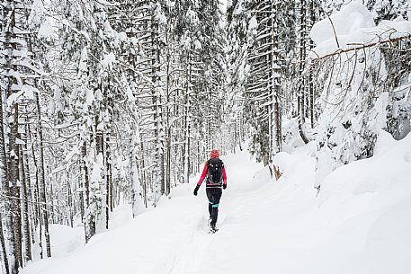 Walk with snowshoes, to the Winkel hut, under heavy snowfall.