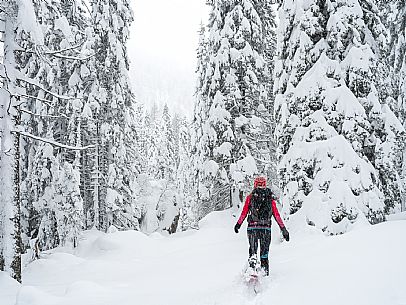 Walk with snowshoes, to the Winkel hut, under heavy snowfall.