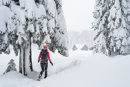 Walk with snowshoes, to the Winkel hut, under heavy snowfall.