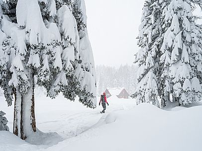 Walk with snowshoes, to the Winkel hut, under heavy snowfall.