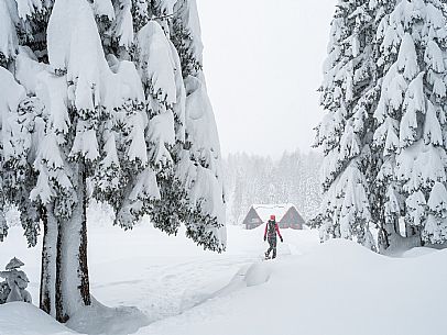 Walk with snowshoes, to the Winkel hut, under heavy snowfall.