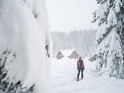 Walk with snowshoes, to the Winkel hut, under heavy snowfall.