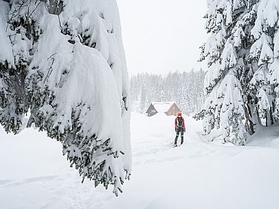 Walk with snowshoes, to the Winkel hut, under heavy snowfall.