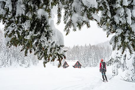 Walk with snowshoes, to the Winkel hut, under heavy snowfall.