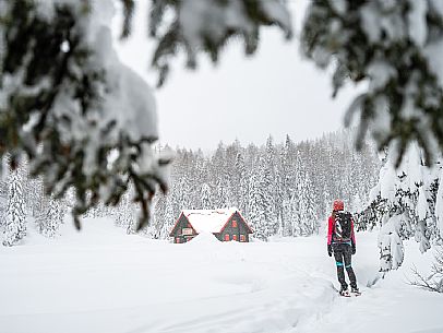 Walk with snowshoes, to the Winkel hut, under heavy snowfall.