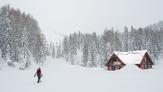 Walk with snowshoes, to the Winkel hut, under heavy snowfall.