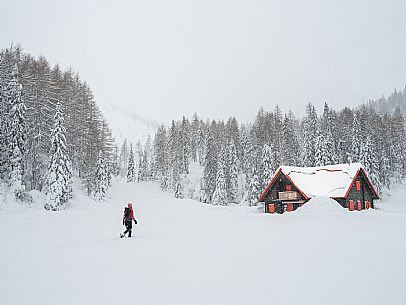 Walk with snowshoes, to the Winkel hut, under heavy snowfall.