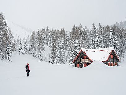 Walk with snowshoes, to the Winkel hut, under heavy snowfall.