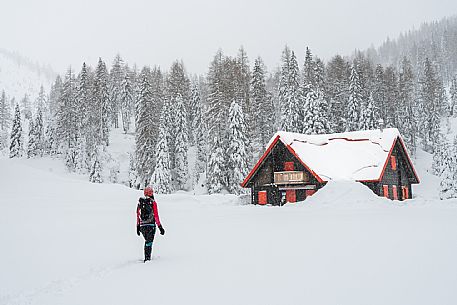 Walk with snowshoes, to the Winkel hut, under heavy snowfall.