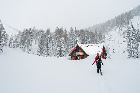 Walk with snowshoes, to the Winkel hut, under heavy snowfall.