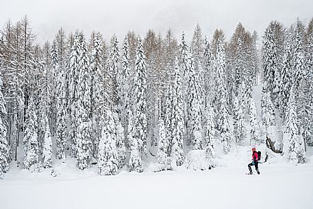 Walk with snowshoes, to the Winkel hut, under heavy snowfall.