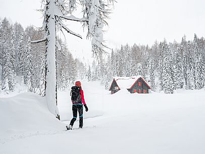 Walk with snowshoes, to the Winkel hut, under heavy snowfall.