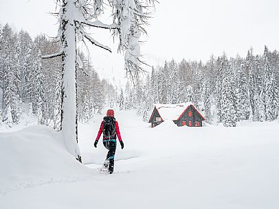 Walk with snowshoes, to the Winkel hut, under heavy snowfall.