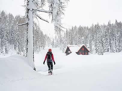 Walk with snowshoes, to the Winkel hut, under heavy snowfall.