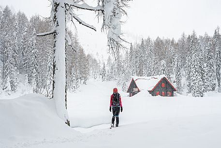 Walk with snowshoes, to the Winkel hut, under heavy snowfall.