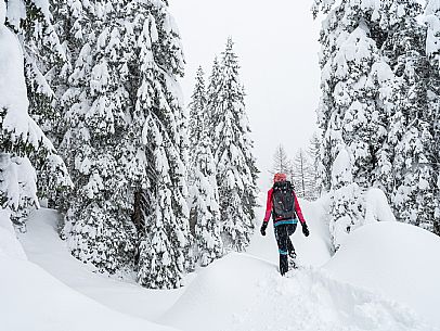 Walk with snowshoes, to the Winkel hut, under heavy snowfall.