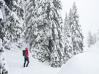 Walk with snowshoes, to the Winkel hut, under heavy snowfall.