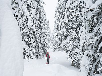 Walk with snowshoes, to the Winkel hut, under heavy snowfall.