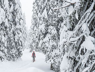 Walk with snowshoes, to the Winkel hut, under heavy snowfall.