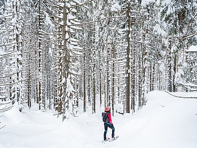 Walk with snowshoes, to the Winkel hut, under heavy snowfall.