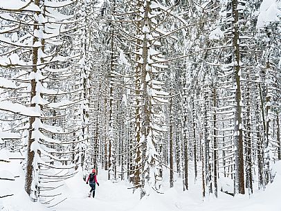 Walk with snowshoes, to the Winkel hut, under heavy snowfall.