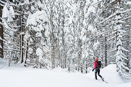 Walk with snowshoes, to the Winkel hut, under heavy snowfall.