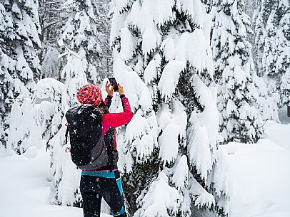 Walk with snowshoes, to the Winkel hut, under heavy snowfall.