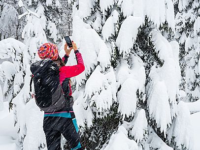 Walk with snowshoes, to the Winkel hut, under heavy snowfall.