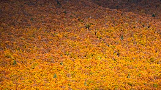 Autumn atmospheres and colours in Piancavallo