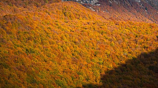 Autumn atmospheres and colours in Piancavallo