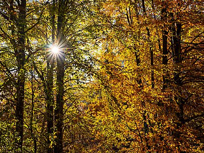 Autumn atmospheres and colours in Piancavallo