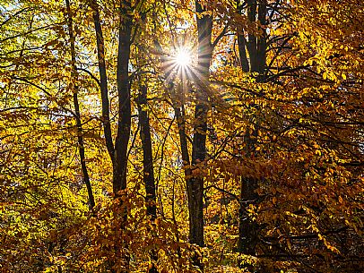 Autumn atmospheres and colours in Piancavallo