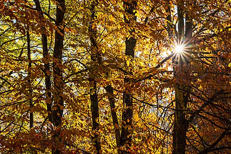 Autumn atmospheres and colours in Piancavallo