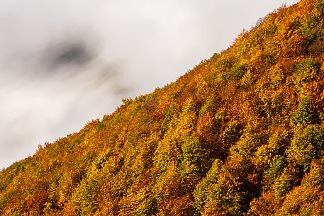 Autumn atmospheres and colours in Piancavallo