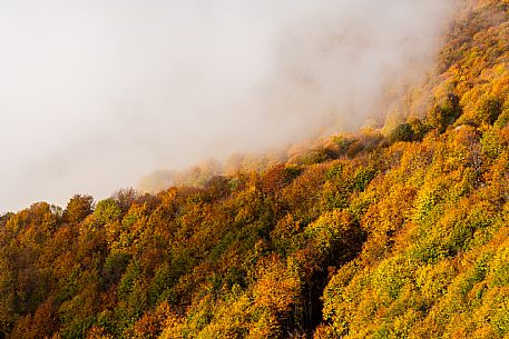 Autumn atmospheres and colours in Piancavallo