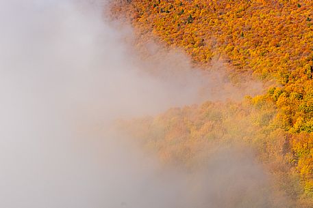 Autumn atmospheres and colours in Piancavallo