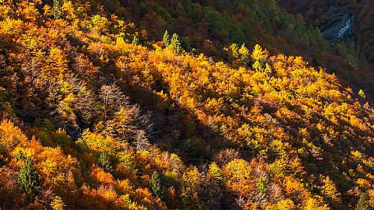 Autumn atmospheres and colours in Piancavallo