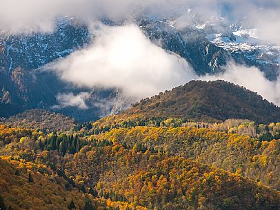 Autumn atmospheres and colours in Piancavallo. Wood around Barcis lake. Dolomiti Friulane Natural Park.