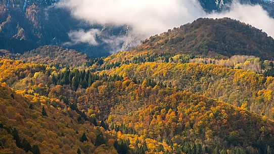 Autumn atmospheres and colours in Piancavallo. Wood around Barcis lake. Dolomiti Friulane Natural Park.