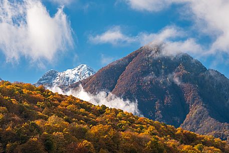 Autumn atmospheres and colours in Piancavallo. Wood around Barcis lake. Dolomiti Friulane Natural Park.