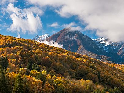 Autumn atmospheres and colours in Piancavallo. Wood around Barcis lake. Dolomiti Friulane Natural Park.