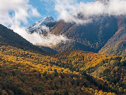 Autumn atmospheres and colours in Piancavallo. Wood around Barcis lake. Dolomiti Friulane Natural Park.