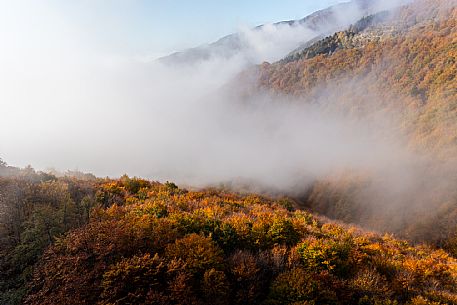 Autumn atmospheres and colours in Piancavallo