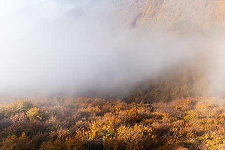 Autumn atmospheres and colours in Piancavallo