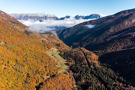 Atmospheres and autumn colours on Piancavallo.The Friulian Dolomites in the background.Pian delle More.